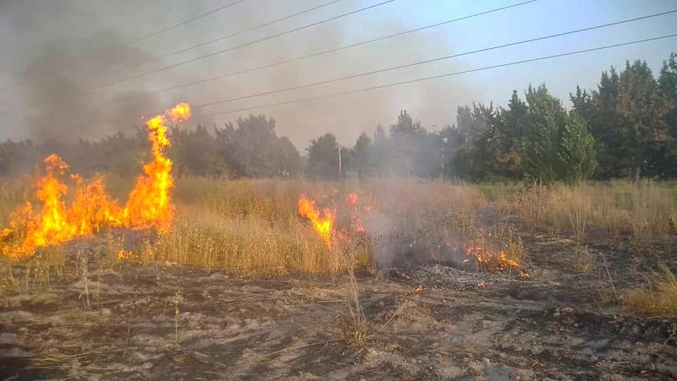 В парке Ата-Тюрк выгорело 300 кв метров