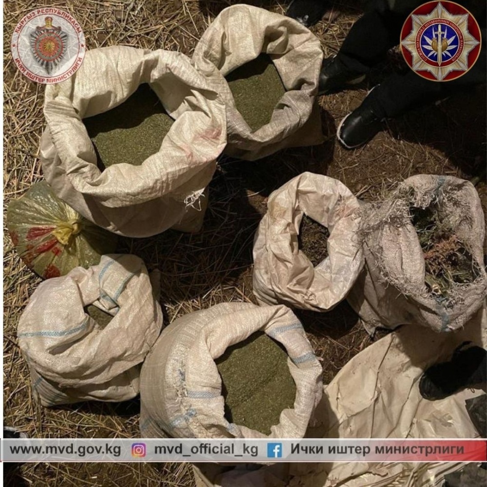 Более 32 кг марихуаны и 4 кг гашиша обнаружено в результате спецоперации