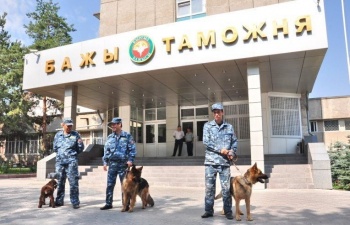 Правительство решило упростить таможенные процедуры