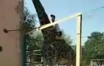 Пьяный казахстанец залез на жирафа и катался на нем